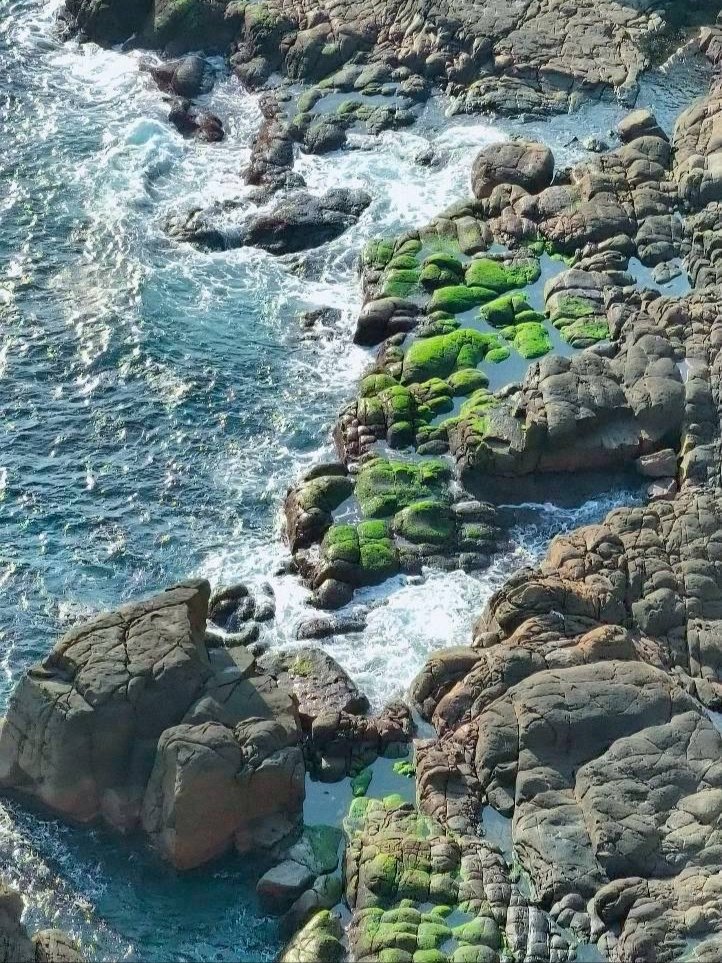 龍洞灣岬步道-蚊子坑山-北勢坑古道_2981943