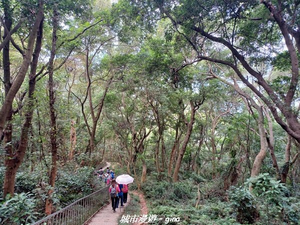 【彰化田中】蓊鬱森林有點陡。 田中森林登山步道_1925570