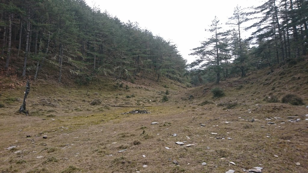 20250125 伊加之蕃-卑南東稜_2715167