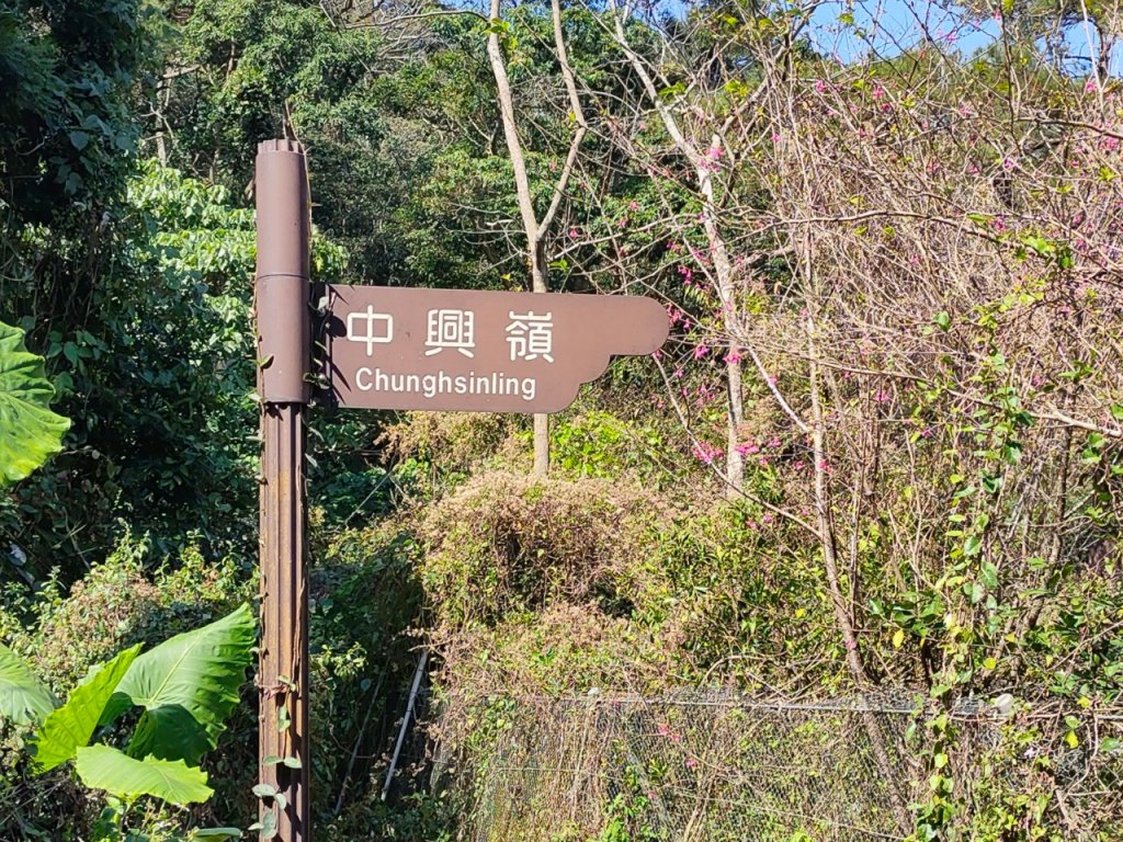 ［小百岳］頭嵙山+貳嵙山_2237730