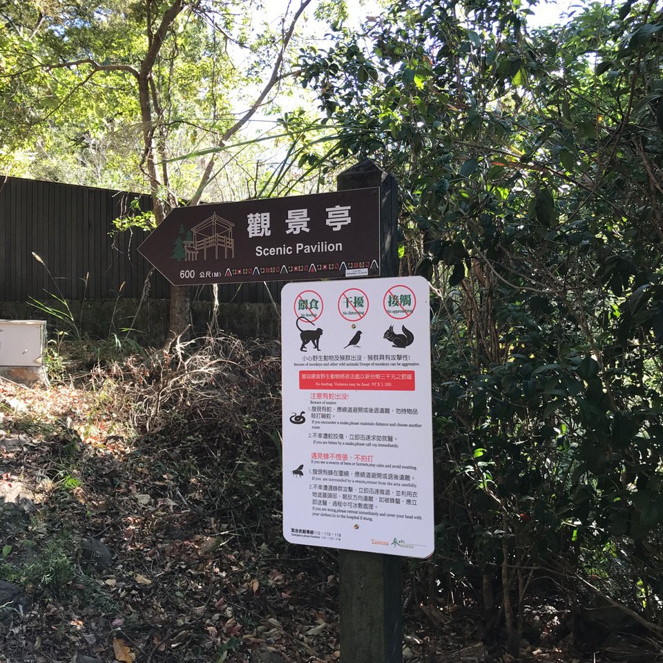 谷關七雄 波津加山（老四）2022.11.21_1922846