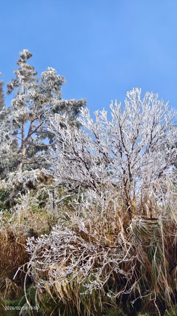 #霧淞 #雲海 #雲瀑 #霧虹 #太平山 #望洋山 #觀雲步道 #翠峰道路  2/8_2995231