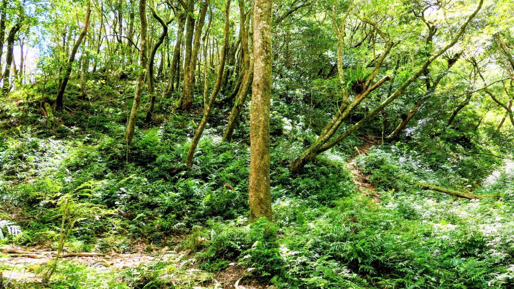 拔刀爾山_2889225