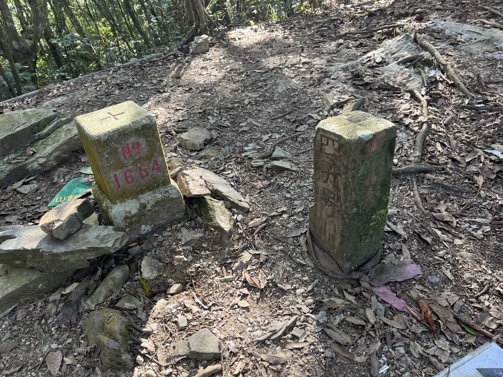 2023_1119  藤枝山_2354359