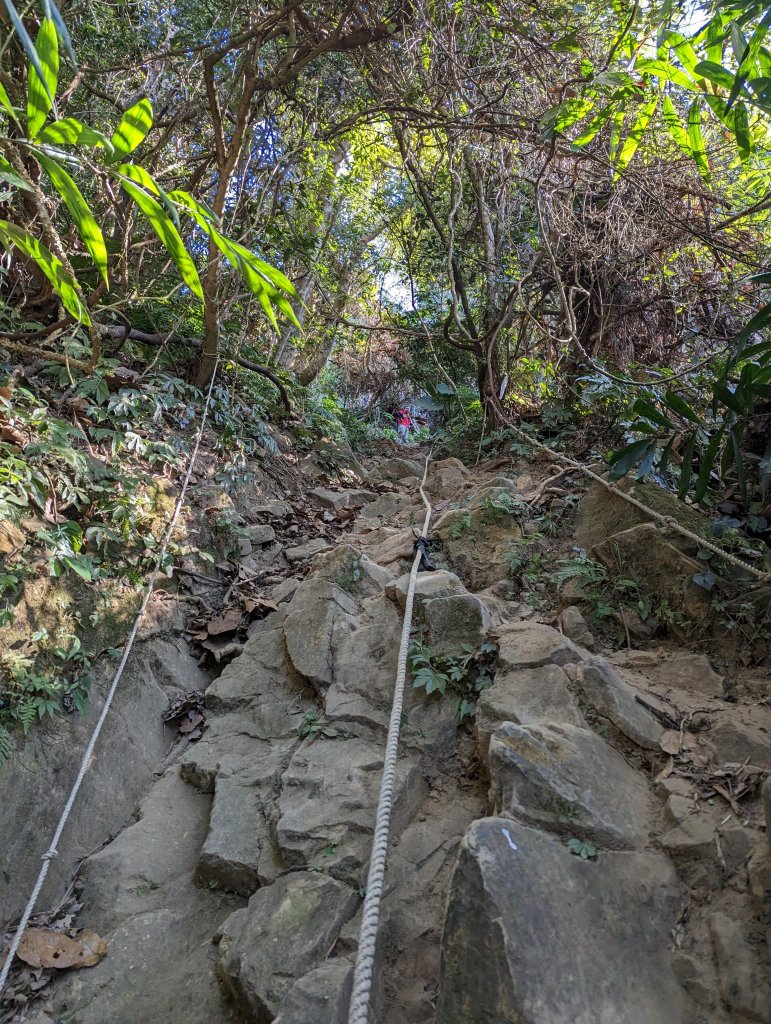 【小百岳044】台中 暗影山_1975094