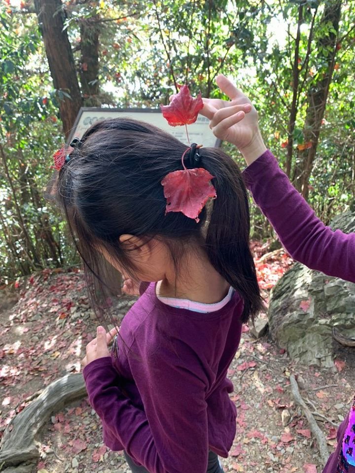 稍來楓情（小白岳）_752811