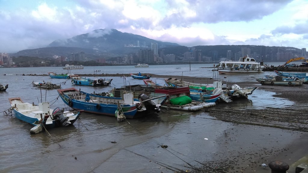 春光爛漫的淡水河左岸封面圖
