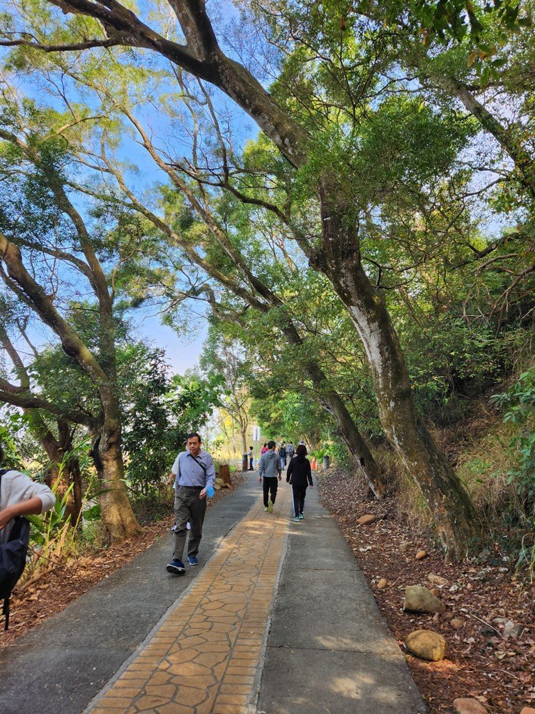 【彰化清水巖】十八彎古道連走擎天崗(中央嶺步道)_2038059