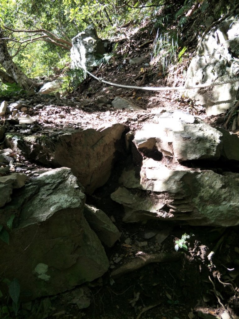 谷關七雄：屋東縱走-屋我尾山-麗陽上_1492000