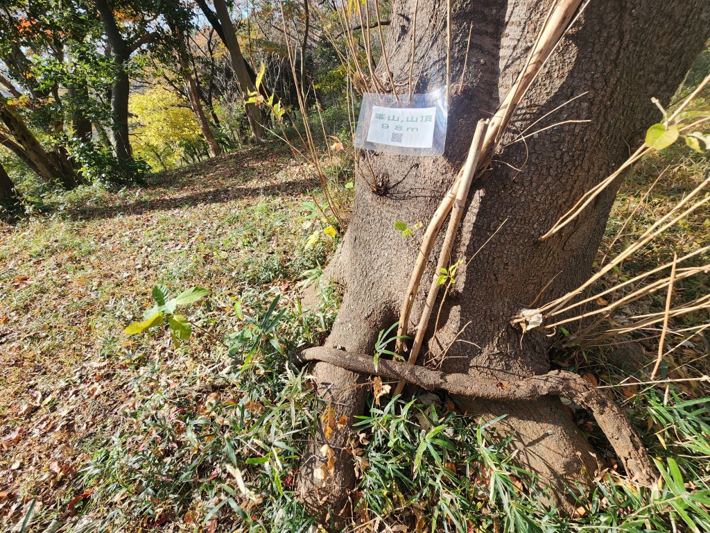 20251128橫須賀軍港遊船+鎌倉大佛步道_2962741