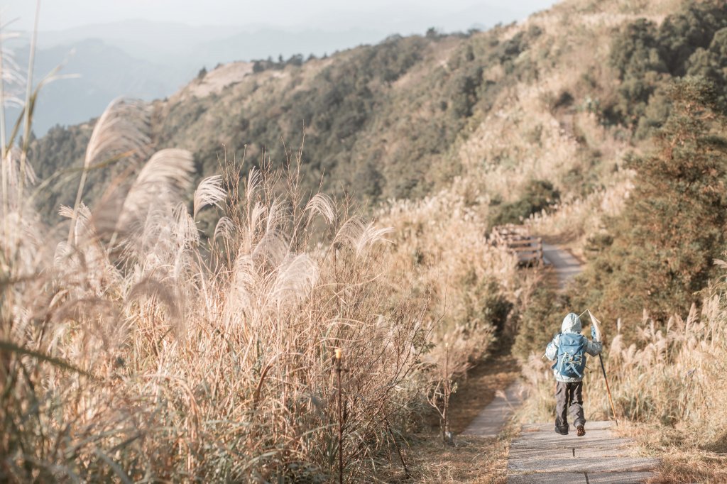 菅芒浪白｜五分山_2356442
