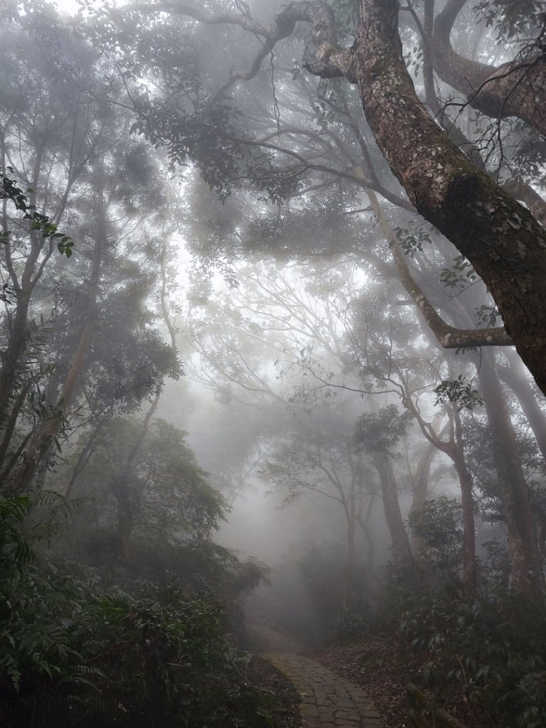 九讚頭車站-大崎棟.茶亭.逃學.騎龍古道20幾K繞大O_2972513
