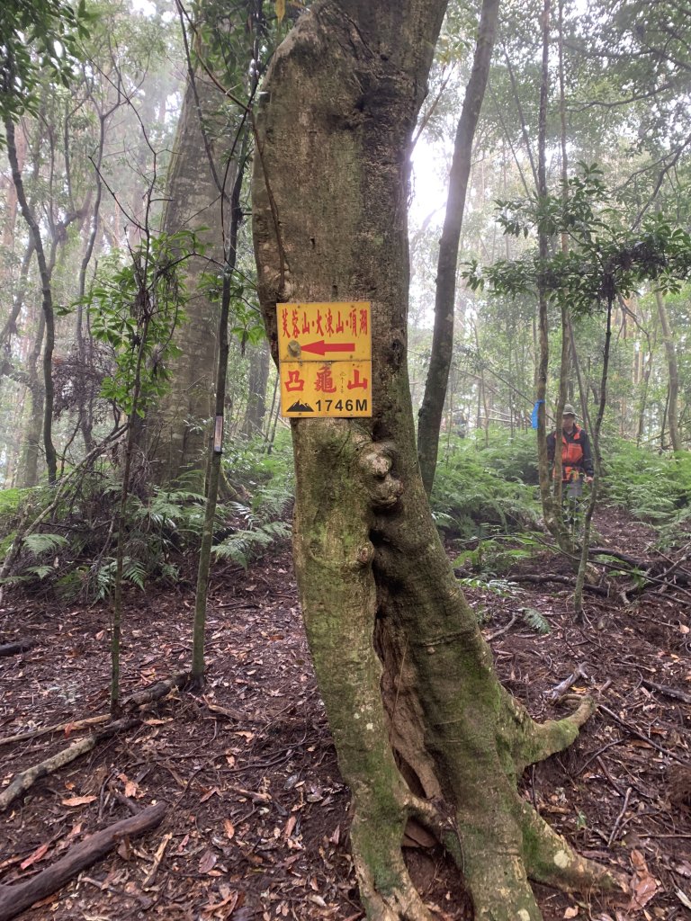 20251220嘉義凸龜山-芙蓉山-天福山_2973789