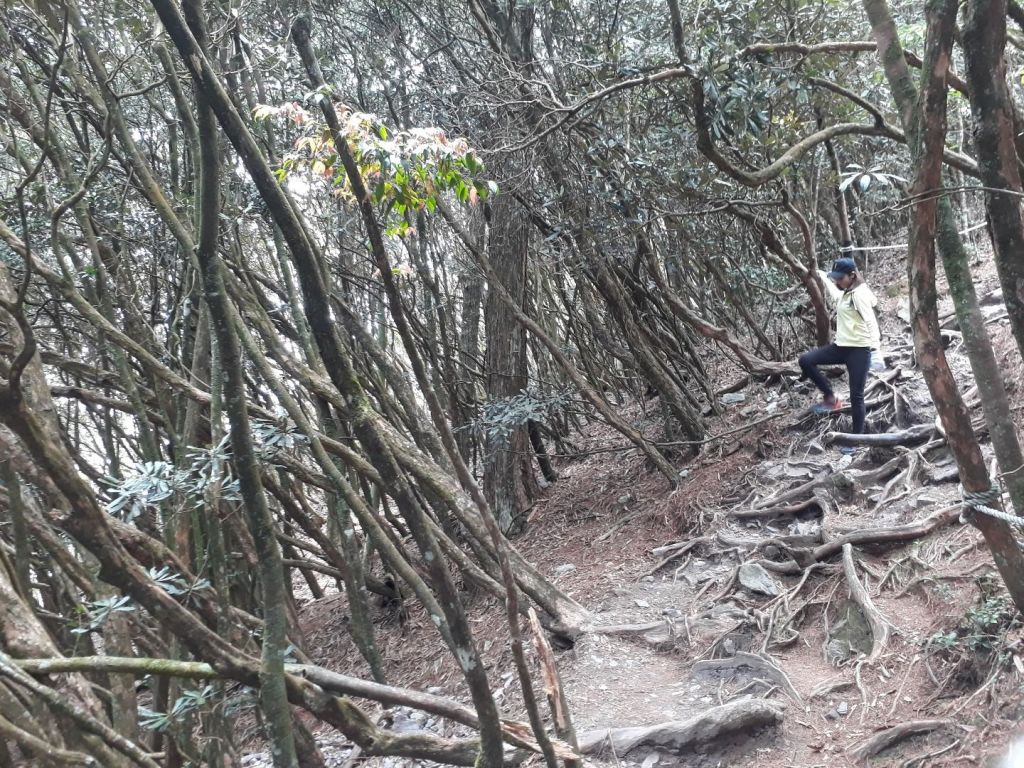 台中鳶嘴山20180406_304856