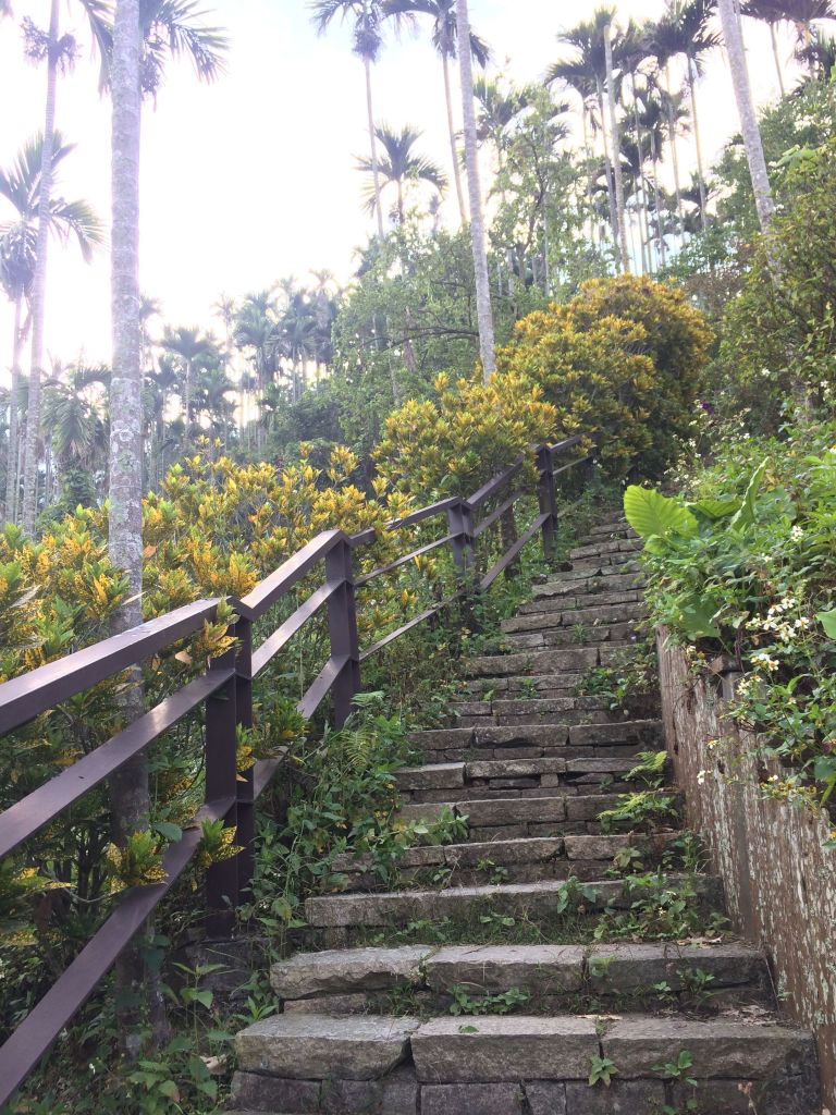 梅峰古道&獵鷹尖一線天&伍龍步道_316633