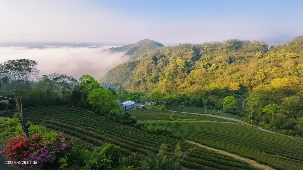 #翡翠水庫壩頂 #月亮雲海 #日出雲海 #鱷魚島雲海 3/25&265封面圖
