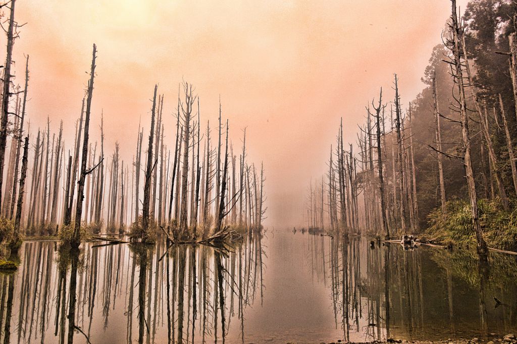 水漾森林。鹿屈山O型2018.04.04_306878