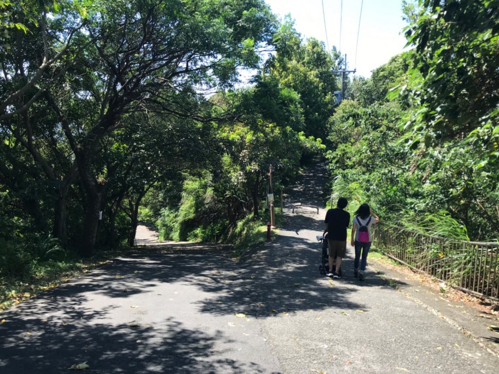 2023新北市新莊區青年公園步道、樟腦寮步道上林口A7_2209721