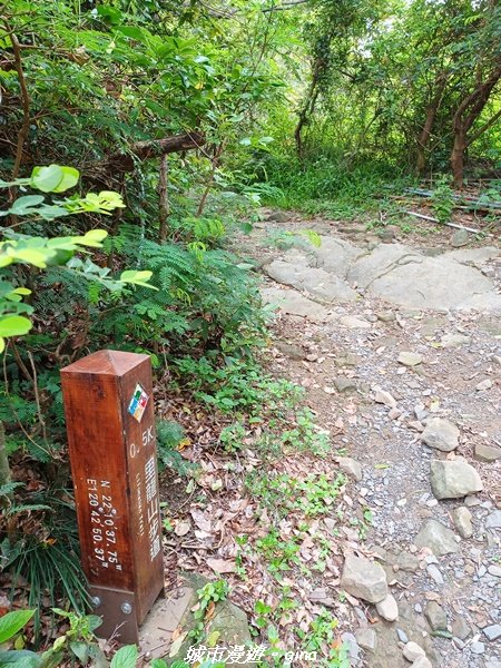 【屏東獅子】山海相望。 小百岳集起來。 編號80小百岳~里龍山自然步道_1734667