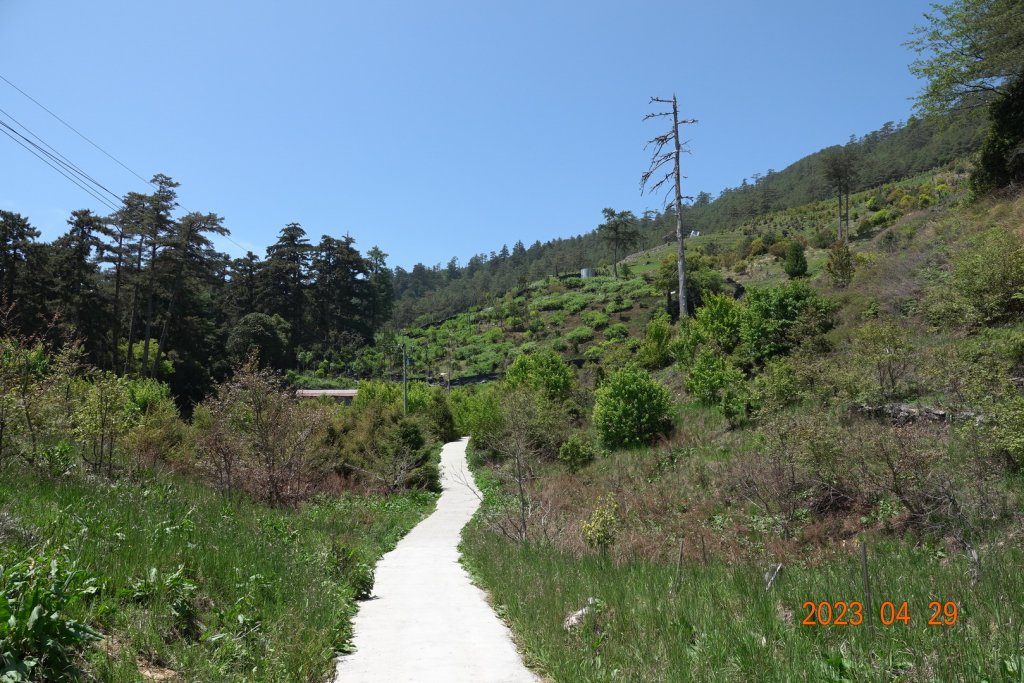 南投 仁愛 武法奈尾山_2133705