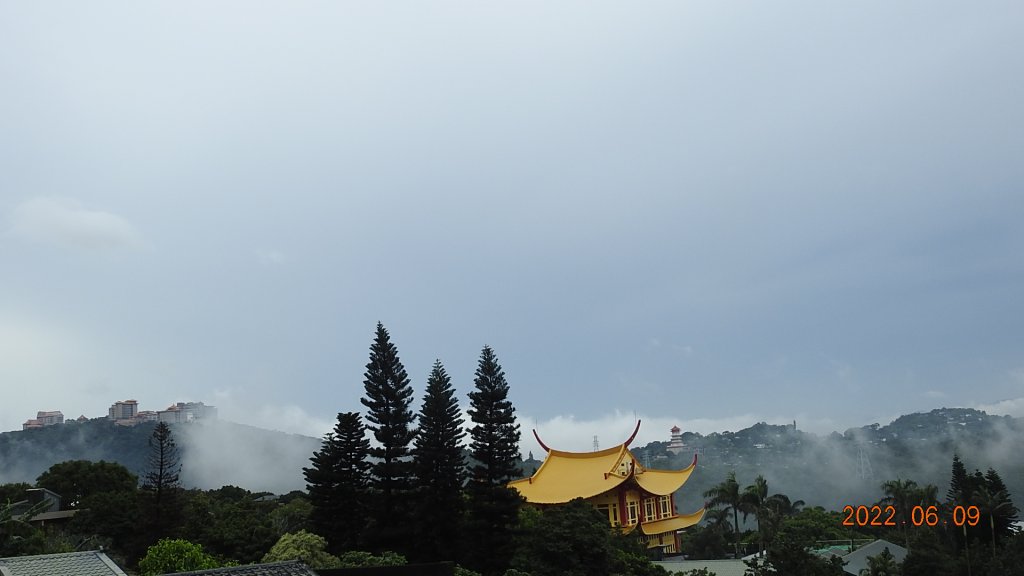 雲山水花鳥蝶 - 雲霧飄渺間的101大樓也是天空之城 ?_1731635