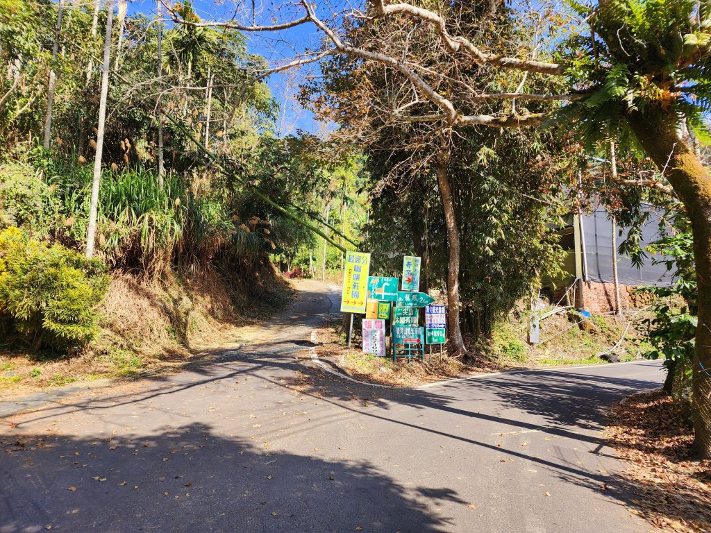 小百岳集起來-梨子腳山_2182929