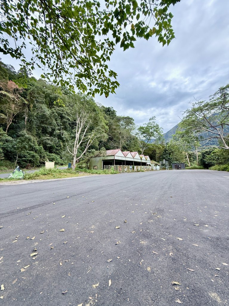 雪山坑步道悠遊順訪雪山坑山(再訪)  2025.12.3_2953723