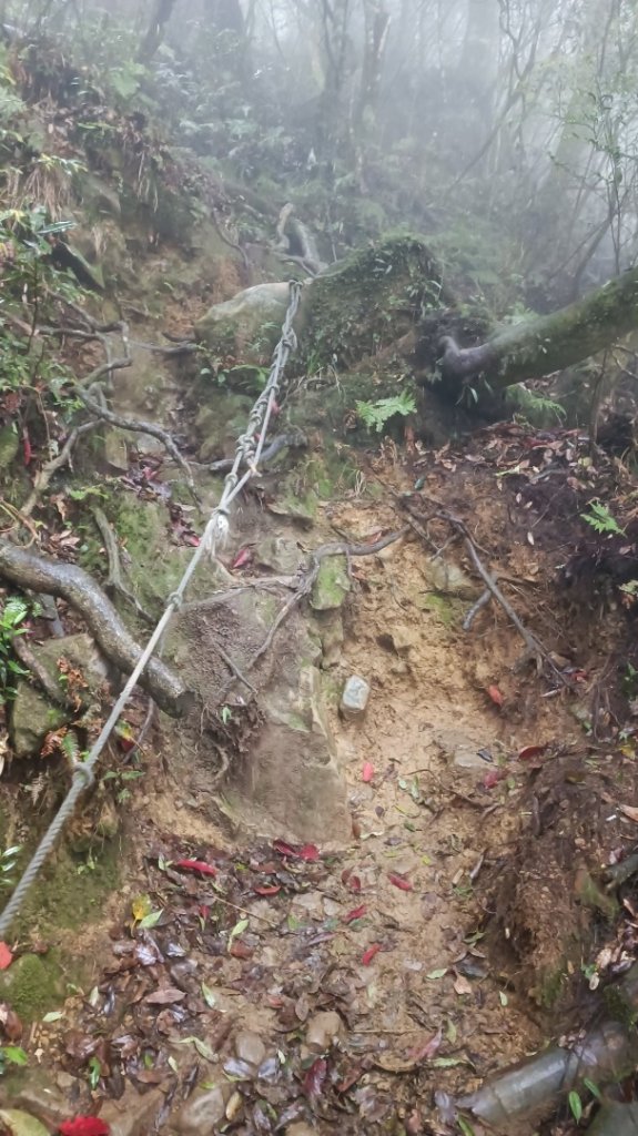 鳳凰南嶺線步道(溪頭至杉林溪縱走)_2150726