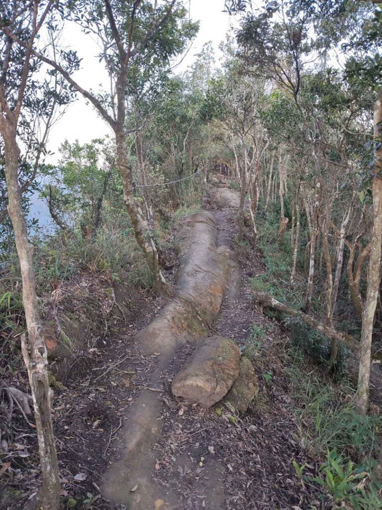 微笑山線：【二格山系】筆架連峰段_2963207