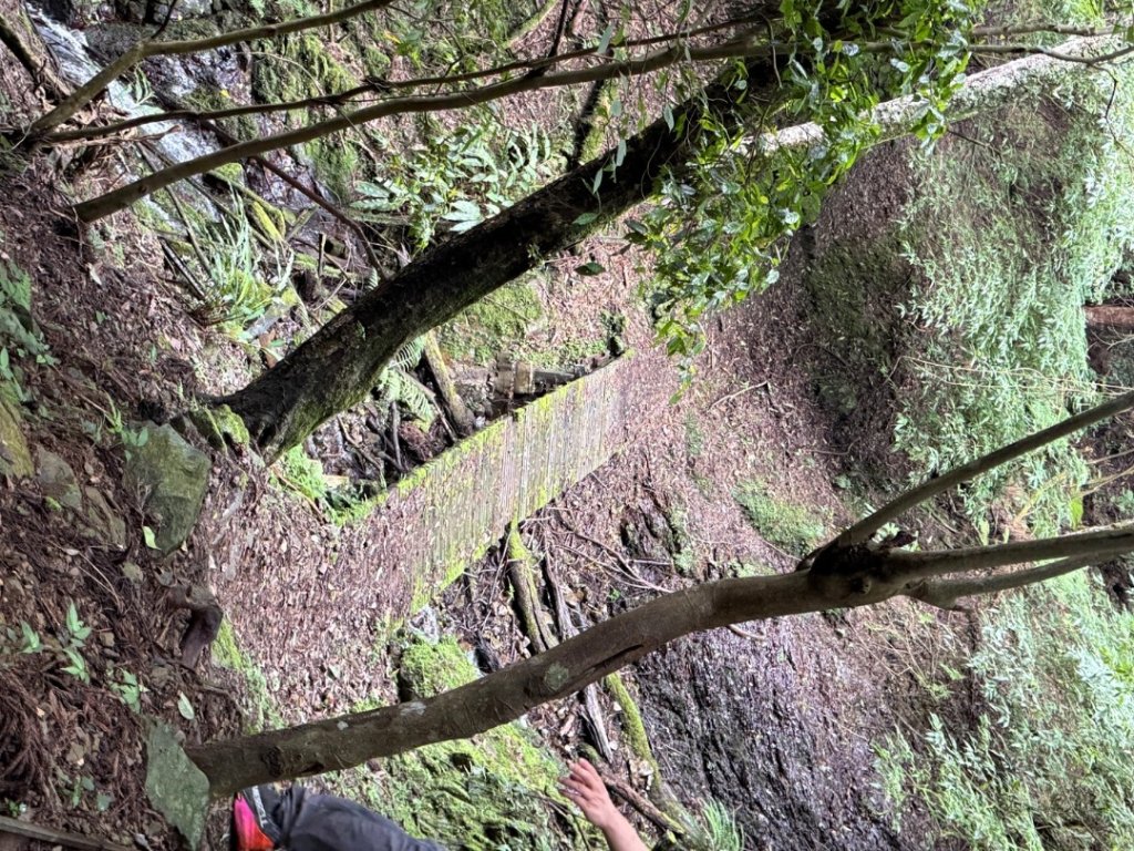 20250607 春谷養鱒場所上加里山 出大坪_2805222