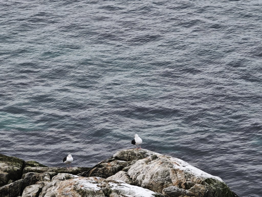 [紐約馬之行-27] 2025_1105 努克濱海木棧道(Nuuk Boardwalk)-下_2947660