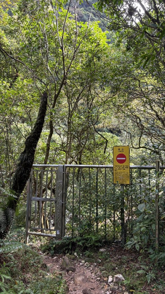 漫遊陽明山_2952042