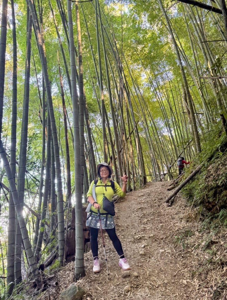 九穹神木 左訪嘉南雲峰 右到好望角看風景上石壁山(小百岳#55)_2945067