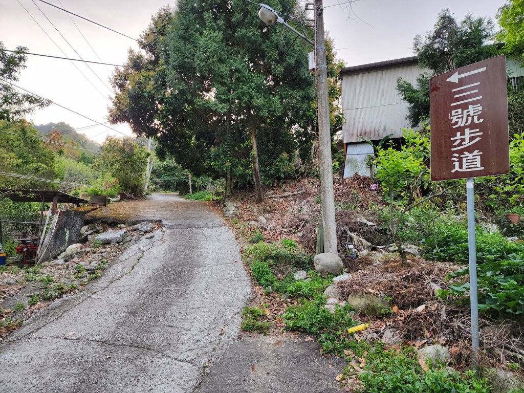 20230416大坑步道2~5+石苓湖山_2175598