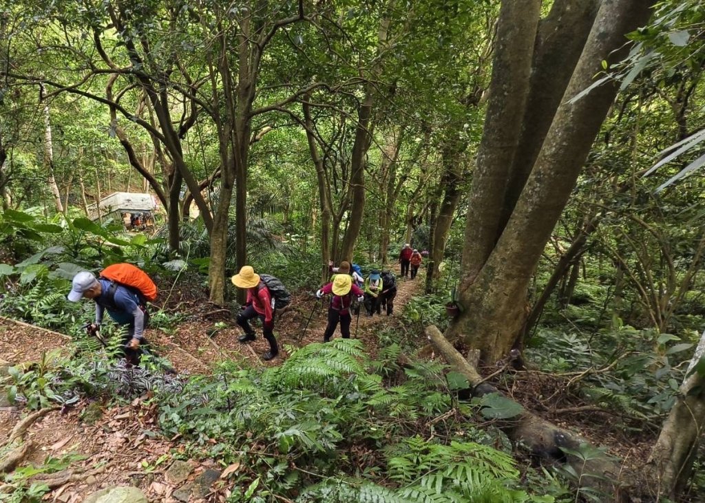 大艽芎古道縱走 新/溪州山(小百岳#23) 出溪州公園_2893922