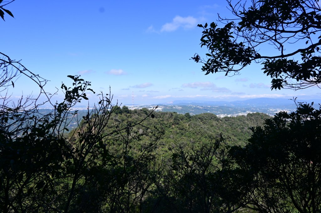 110.11.19 大坑五號、五之一號步道_1519335