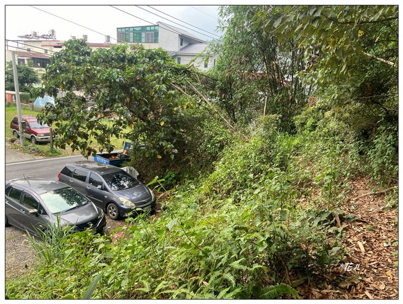 巴蜈縱走 (27.6K一日長征)_2780396