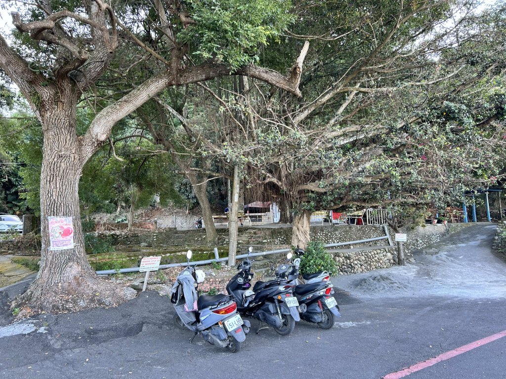 橫山觀日步道_2957499