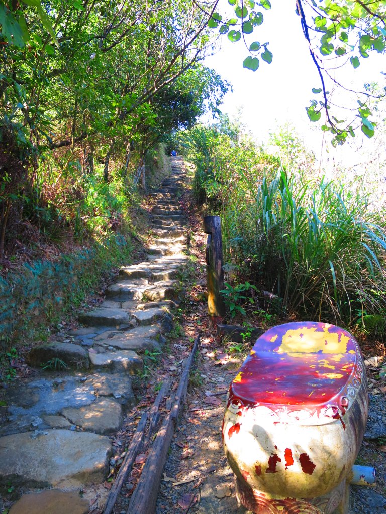 龍年首登的好選擇，鯉躍龍門，搭捷運來內湖爬三尖，鯉魚山、忠勇山、圓覺尖_2426477