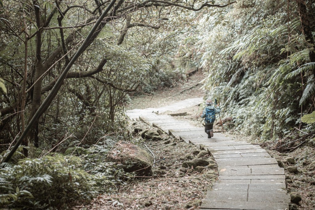 菅芒浪白｜五分山_2356485