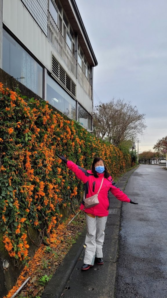 【小百岳集起來】#046 阿罩霧山 H249m, 二等三角點 #1136_1617197