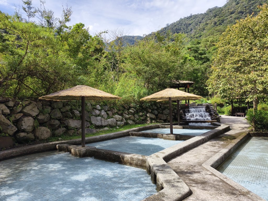 [百山百鳥尋旅-07/15] 2025_0831 八仙山國家森林遊樂區步道群封面圖