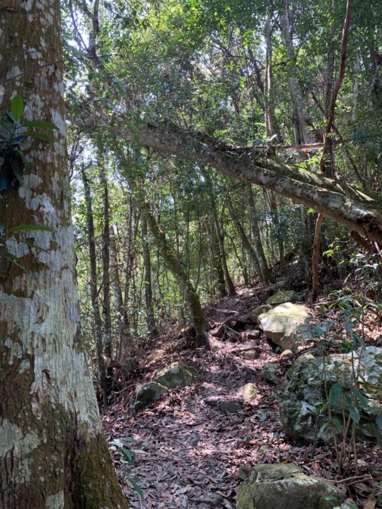 谷關七雄老六～白毛山_562566