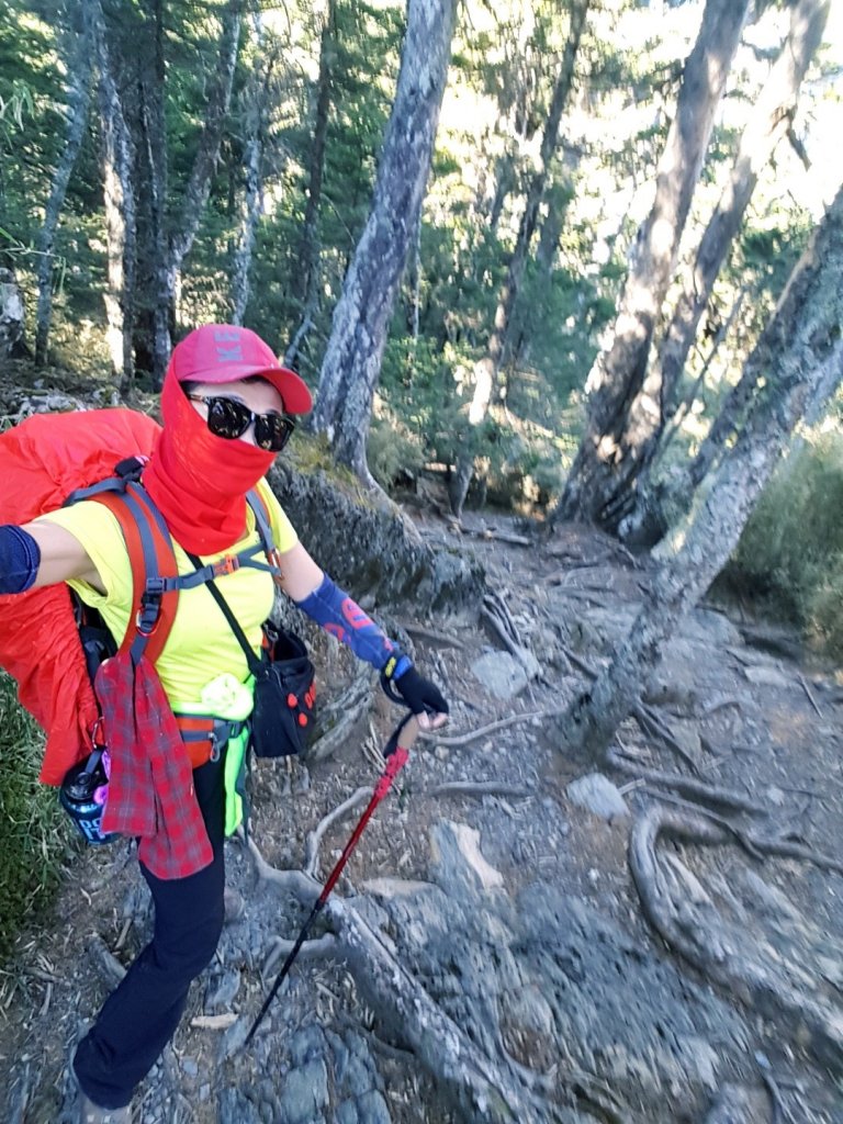 難忘的武陵四秀之品田山.池有山.桃山_854271