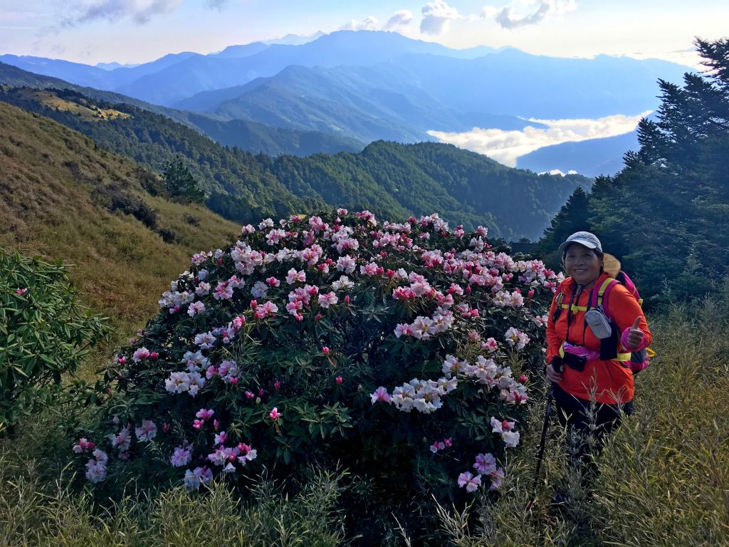 合歡東峰、小奇萊賞杜鵑2018/4/28_325072