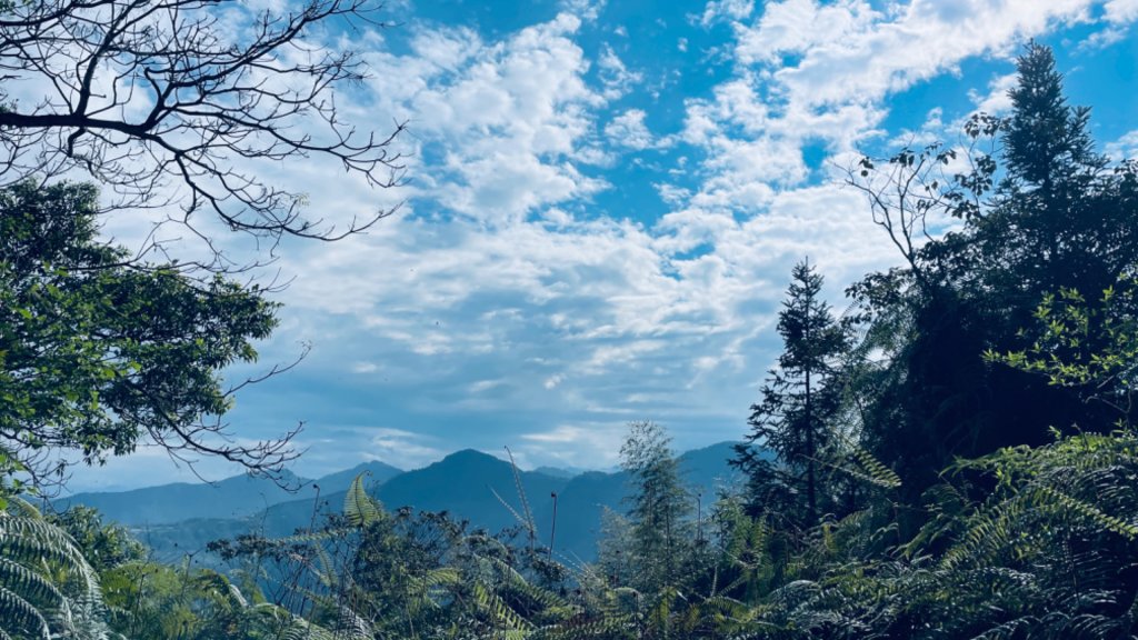 過坑山快閃_2685072