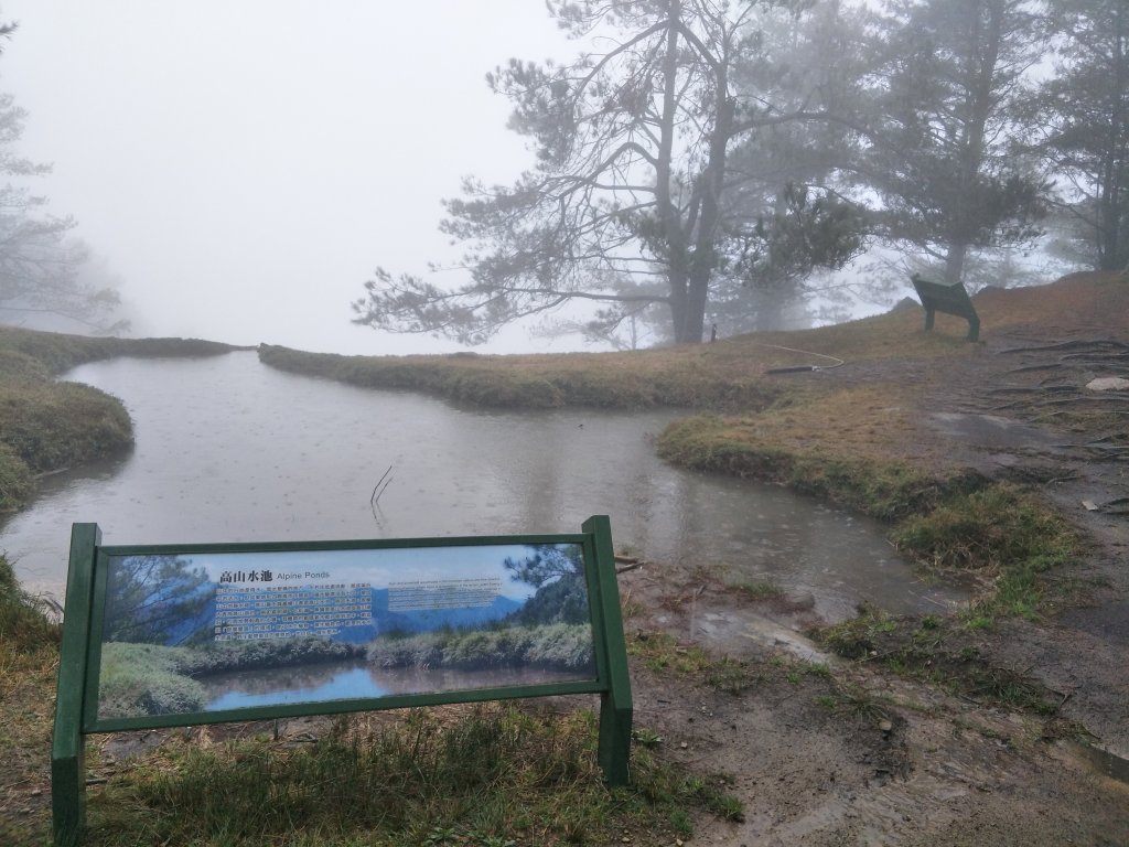 2019 03 10 鹿林山&麟趾山步道_544225