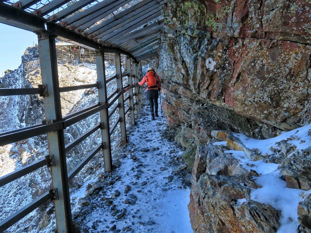 玉山主峰 四月雪 東埔山 杜鵑綻放_1663079
