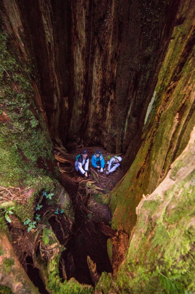 水樣森林 第一次在山裡過夜_659581