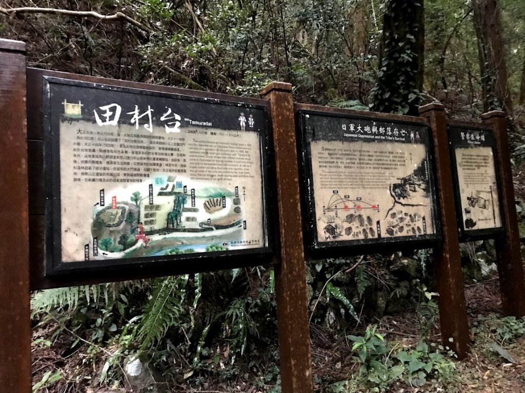 霞喀羅國家步道_石鹿登山口20190126_1964156